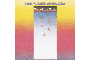 Birds_Of_Fire