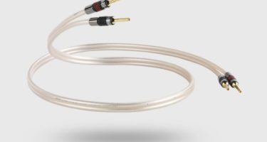 XT 40 Cable by QED
