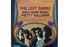 THE_LEFT_ANKE
