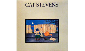 1 1