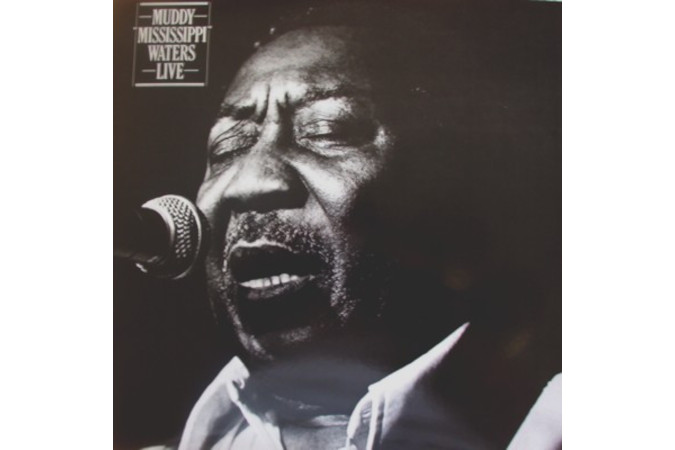 Muddy Mississippi waters live vinyl