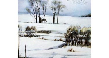 Peter Green - White Sky