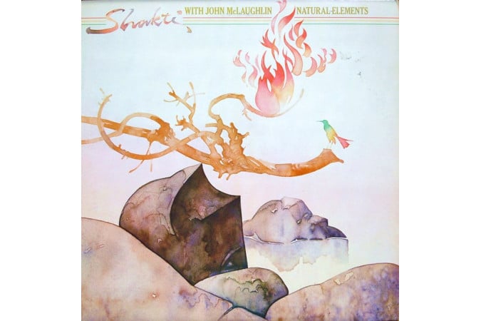With John Mc Laughlin Natural Elements vinyl
