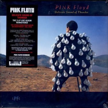 Pink Floyd - Delicate Sound Of Thunder (2 Lp)