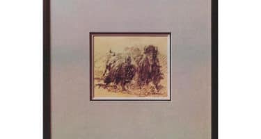 The Stills-Young Band - Long May You Run