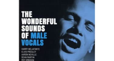 Various Artists - The Wonderful Sounds Of Male Vocals