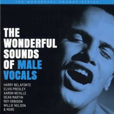 Various Artists - The Wonderful Sounds Of Male Vocals (2 LP)