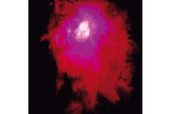 Porcupine Tree - Up The Downstair (2 Lps)