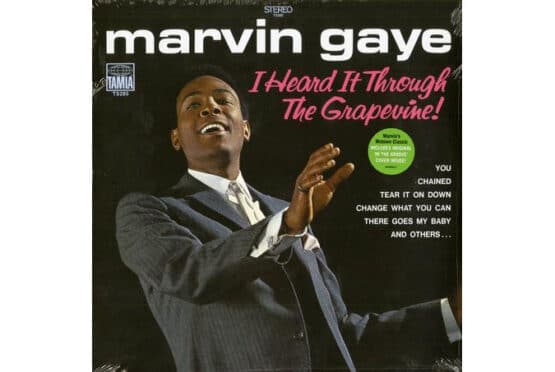 Marvin Gaye - I Heard It Through The Grapevine  (Grape Color Vinyl)