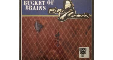 Flamin' Groovies – I'll Have A ... Bucket Of Brains (The Original 1972 Rockfield Recordings For U.A.)