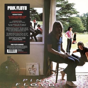 Pink Floyd Ummagumma 180 gram double vinyl LP from Pink Floyd Records