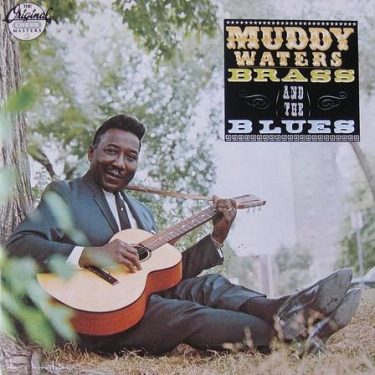 Muddy Waters - Muddy, Brass & The Blues