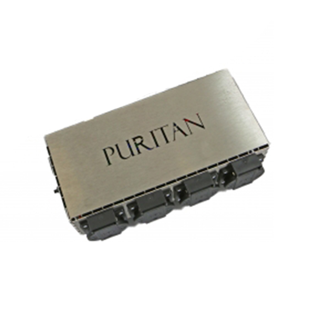 Puritan Audio Labs PB104 mains power purifier