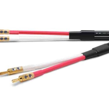 Oyaide - ACROSS 3000 SGB 2.5m speaker cable
