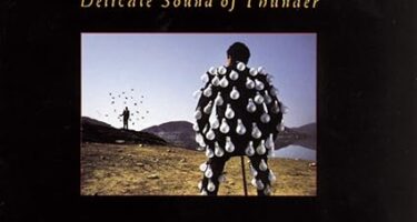 PINK FLOYD - DELICATE SOUND OF THUNDER (CD)