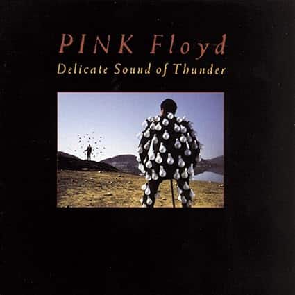 PINK FLOYD DELICATE SOUND OF THUNDER CD