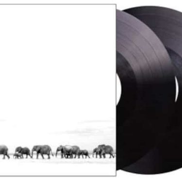 Dave Matthews Band - Where Are You Going: The Singles