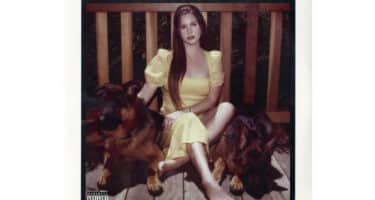 Lana Del Rey - Blue Banisters (2 Lp)