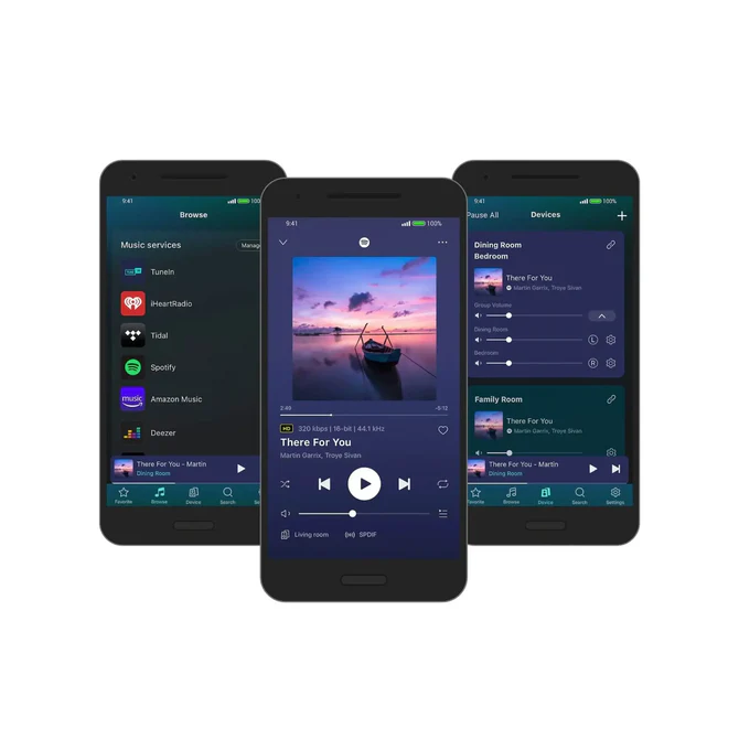 Audiophile Music Streamer-Harmonie Audio