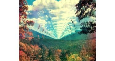 Tame Impala - InnerSpeaker