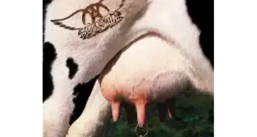 Aerosmith - Get A Grip (Remastered Edition) (CD)