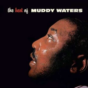 Muddy Waters - The Best Of Muddy Waters (Acoustic Sounds Series)