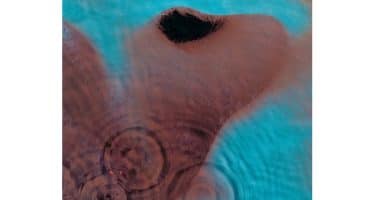 Pink Floyd - Meddle (CD)