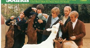 The Beach Boys - Pet Sounds (Stereo) (Analogue Productions)