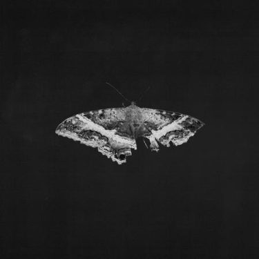 Kendrick Lamar - To Pimp A Butterfly  (10 Year Anniversary Edition)
