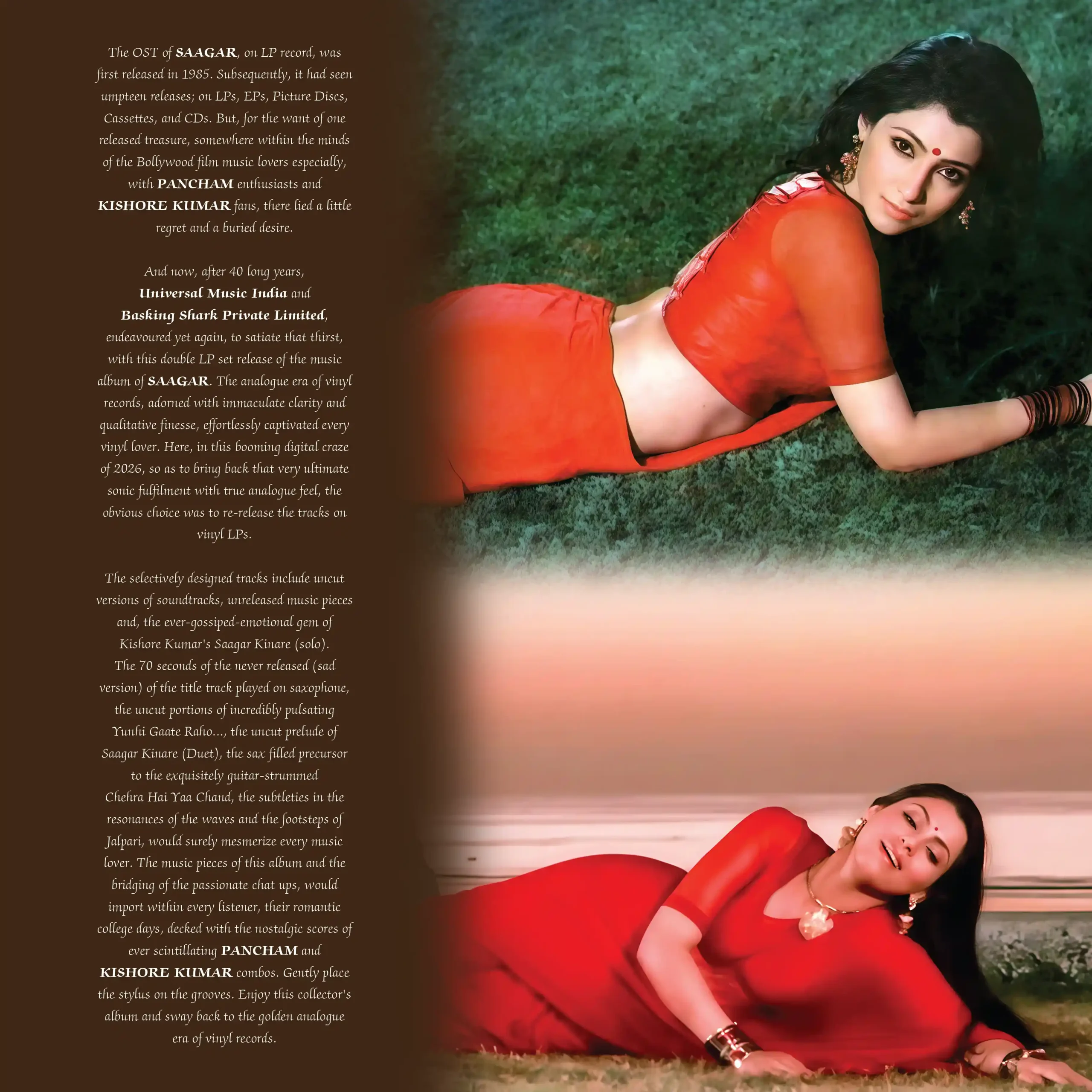 Premium Bollywood Vinyl Record