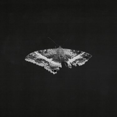 Kendrick Lamar To Pimp A Butterfly cassette cover 10th anniversary