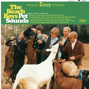 Pet Sounds Mono Vinyl Record at Harmonie Audio