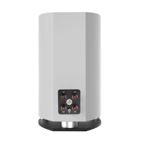 Fyne Audio F701 Bookshelf Speaker | Premium Audiophile Speaker - Image 5