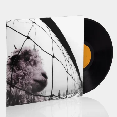 Pearl Jam Vs. 180 gram vinyl LP released by Legacy Records
